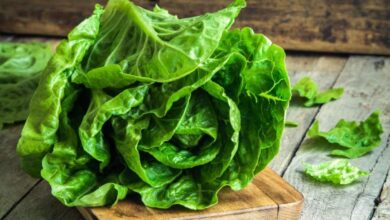 theindiaprint.com superfood collard greens aware of these 5 advantages of collard greens romaine let
