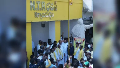 theindiaprint.com tdp commemorates anantapurs party foundation day 1434679 ntr
