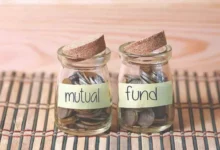 theindiaprint.com the largest small cap mutual fund scheme in india has adjusted its daily investmen