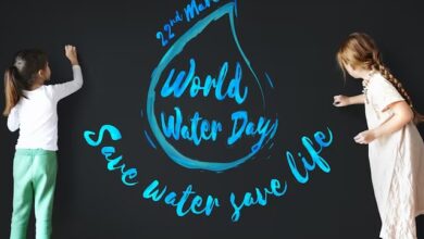 theindiaprint.com theme history significance and 5 easy steps to conserve water for world water day