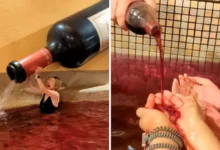 theindiaprint.com this japanese amusement park allows guests to swim in the red wine pool untitled d