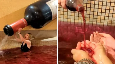 theindiaprint.com this japanese amusement park allows guests to swim in the red wine pool untitled d