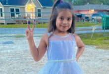 theindiaprint.com us a lawsuit follows the tragic death of an 8 year old in a hotel swimming pool in