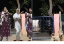 theindiaprint.com watch a hilarious appearance by a stray dog in a viral dance reel untitled design
