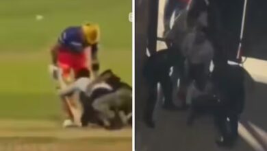theindiaprint.com watch fan beaten up during royal challengers bengaluru vs punjab kings ipl game af