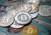 theindiaprint.com what sets this bitcoin bull market apart from others bitcoin6001 1711096878 1