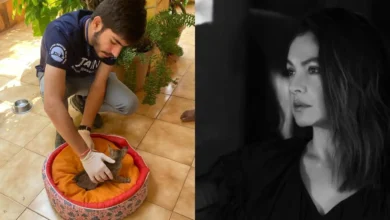 theindiaprint.com after pooja bhatt saves a cat from the streets of mumbai online users comment we n