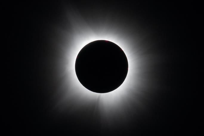 North Americans rejoice in the solar eclipse with drinks, music, and marriage