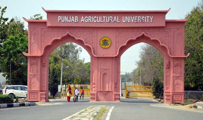 Punjab Agricultural University trains SC kids in entrepreneurship