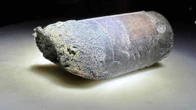 theindiaprint.com the mysterious object that struck the mans house in florida originated from the sp