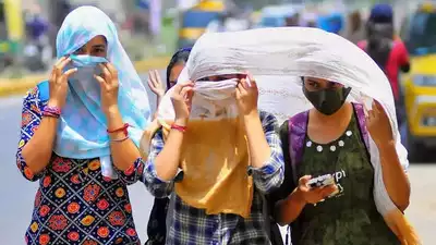 This summer, Delhi could avoid heat waves: IMD