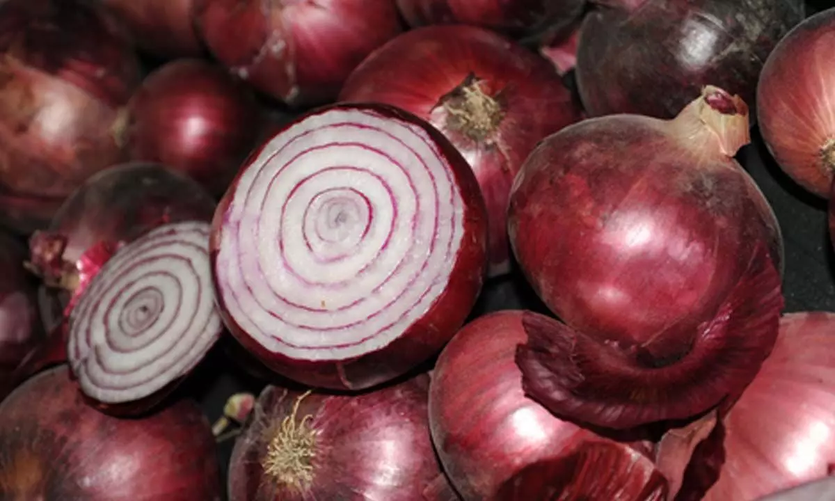 Government lowers export restrictions on onions with a rider