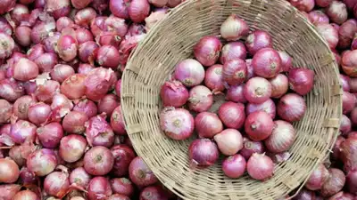 The BJP is hoping that onions won’t make Dindori cry